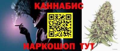 индика Жуковский