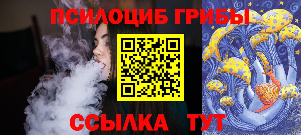 Псилоцибиновые грибы мухоморы Мелеуз